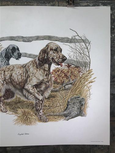 Art & Collectibles > Prints > Lithographs - Ernest Hart, English Setters, Signed Dog Print, 28x22, Wade Collection, Plate...