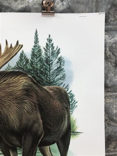 Art & Collectibles > Prints > Lithographs - Richard Timm, Alaska Moose, Signed Print, 28x22 Wade Collection, Plate 18 by T...