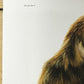 Art & Collectibles > Prints > Lithographs - Richard Timm, Red Fox, Signed Prints, 28x22 Wade Collection, Plate 1 by The Ol...