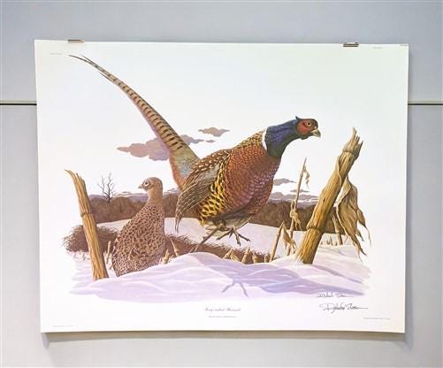 Art & Collectibles > Prints > Lithographs - Richard Sloan, Ring-Necked Pheasant, Signed Print, 28x22 Wade Collection Plate...