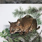 Art & Collectibles > Prints > Lithographs - Richard Timm, Bobcat, Signed Print, 28x22 Wade Collection, Plate 8 by The Old...