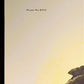 Richard Sloan, Brown Pelican, Signed Print, 28x22, Wade Collection, Plate 17