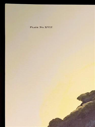 Richard Sloan, Brown Pelican, Signed Print, 28x22, Wade Collection, Plate 17