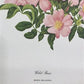 Art & Collectibles > Prints > Lithographs - Maryrose Wampler, Wild Rose, Signed Print, 28x22 Wall Art, Plate 22 by The Old...