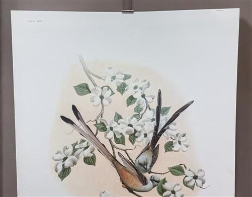 Art & Collectibles > Prints > Lithographs - Richard Sloan, Flycatcher, Signed Print, 28x22, Wade Collection, Plate 28 by T...