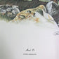 Art & Collectibles > Prints > Lithographs - Richard Timm, Musk Ox, Signed Print, 28x22 Wade Collection, Plate 40 by The Ol...