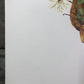 Art & Collectibles > Prints > Lithographs - Maryrose Wampler, Daisy Mum, Signed Print, 28x22 Wall Art, Plate 4 by The Old...