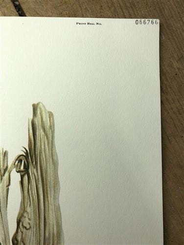 Art & Collectibles > Prints > Lithographs - Richard Timm, River Otter, Signed Print, 28x22 Wade Collection, Plate 6 by The...