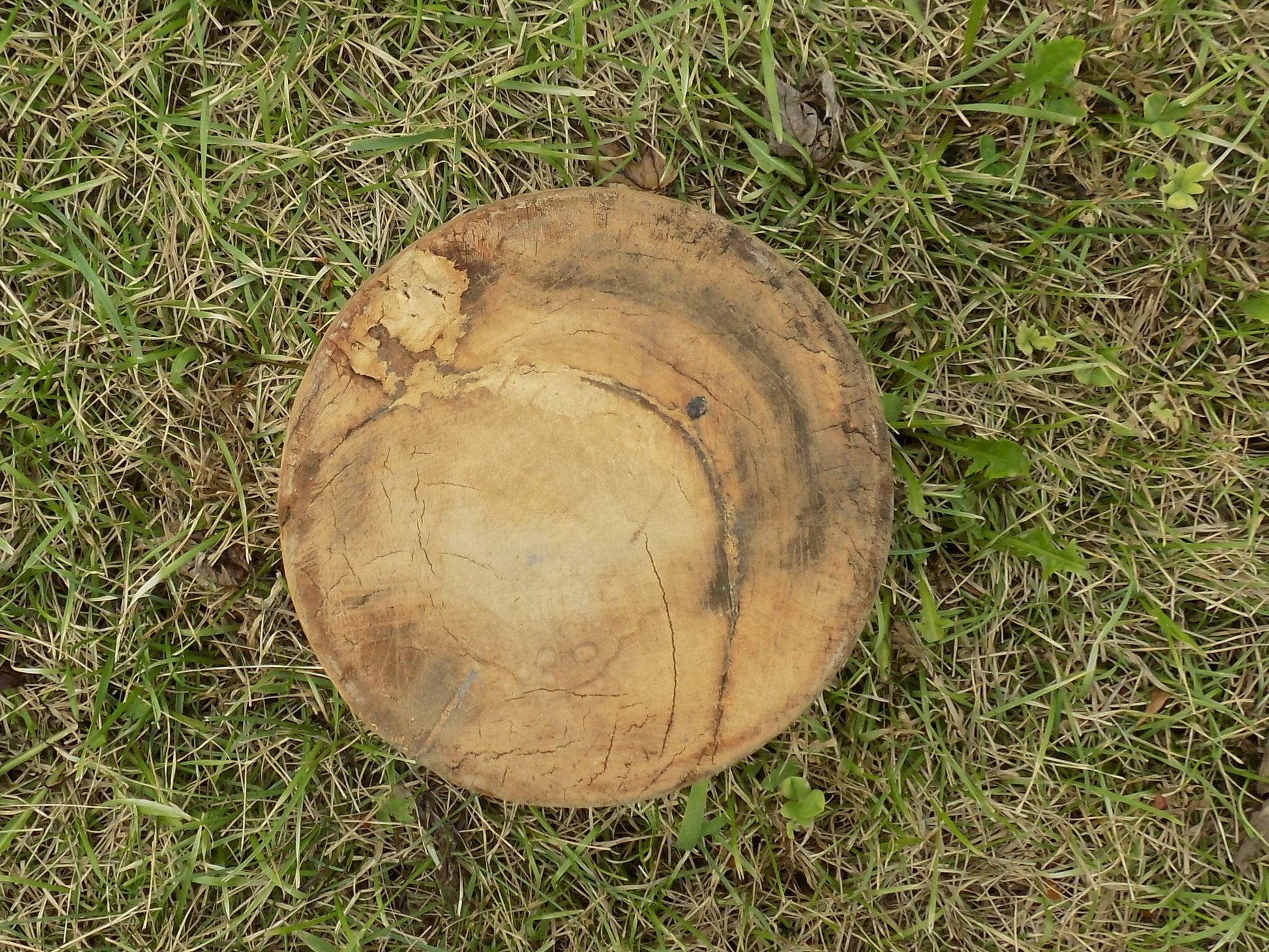 Wooden vase - Water Jug, Wood Pot, Wood Vase, Rustic Planter, Modern Farmhouse, European X by The Old Grainery (10 inch ta...