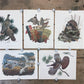 Art & Collectibles > Prints > Lithographs - 5 Richard Sloan Bird Prints (11x14) Woodland Wildlife Art Grouse Turkey Bobwhi...