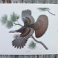 Art & Collectibles > Prints > Lithographs - 5 Richard Sloan Bird Prints (11x14) Woodland Wildlife Art Grouse Turkey Bobwhi...