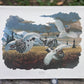 Art & Collectibles > Prints > Lithographs - 5 Richard Sloan Bird Prints (11x14) Woodland Wildlife Art Grouse Turkey Bobwhi...