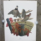 Art & Collectibles > Prints > Lithographs - 5 Richard Sloan Bird Prints (11x14) Woodland Wildlife Art Grouse Turkey Bobwhi...