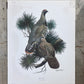 Art & Collectibles > Prints > Lithographs - 5 Richard Sloan Bird Prints (11x14) Woodland Wildlife Art Grouse Turkey Bobwhi...