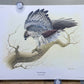Art & Collectibles > Prints > Lithographs - 4 Richard Sloan Bird Prints (11x14) Bird of Prey Wildlife Art, Eagle Hawk Falc...