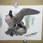 Art & Collectibles > Prints > Lithographs - 7 Richard Sloan Bird Prints (11x14) Waterfowl Wildlife Art, Duck, Goose, Loon...
