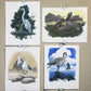 Art & Collectibles > Prints > Lithographs - 4 Richard Sloan Bird Prints (11x14) Waterfowl Coastal Wildlife Art, Gull Pelic...