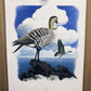Art & Collectibles > Prints > Lithographs - 4 Richard Sloan Bird Prints (11x14) Waterfowl Coastal Wildlife Art, Gull Pelic...