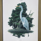 Art & Collectibles > Prints > Lithographs - 4 Richard Sloan Bird Prints (11x14) Waterfowl Coastal Wildlife Art, Gull Pelic...