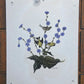 Art & Collectibles > Prints > Lithographs - 4 Richard Sloan Bird Prints (11x14) Wildlife Wall Art, Cardinal, Robin, Bluebi...