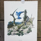 Art & Collectibles > Prints > Lithographs - 5 Richard Sloan Bird Prints (11x14) Wildlife Wall Art, Purple Martin, Oriole b...