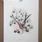 Art & Collectibles > Prints > Lithographs - 8 Richard Sloan Bird Prints (11x14) Wildlife Wall Art, Roadrunner, Mockingbird...