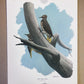 Art & Collectibles > Prints > Lithographs - 8 Richard Sloan Bird Prints (11x14) Wildlife Wall Art, Roadrunner, Mockingbird...
