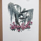 Art & Collectibles > Prints > Lithographs - 8 Richard Sloan Bird Prints (11x14) Wildlife Wall Art, Roadrunner, Mockingbird...