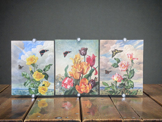 Art & Collectibles > Prints > Lithographs - 3 Andrey Avinoff Floral Prints (11x14) Tulip Roses Butterfly, Cottagecore Déco...