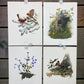 Art & Collectibles > Prints > Lithographs - 4 Richard Sloan Bird Prints (11x14) Wildlife Wall Art, Cardinal, Robin, Bluebi...