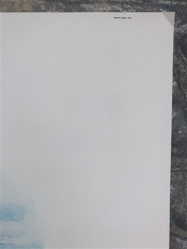 Art & Collectibles > Prints > Lithographs - Richard Timm, Hoary Marmot, Signed Print, 28x22 Wade Collection, Plate 33 by T...