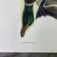 Art & Collectibles > Prints > Lithographs - Ernest Hart, Black Lab with Duck, Signed Dog Print, 16x20, Wade Collection, B...