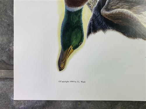Art & Collectibles > Prints > Lithographs - Ernest Hart, Black Lab with Duck, Signed Dog Print, 16x20, Wade Collection, B...