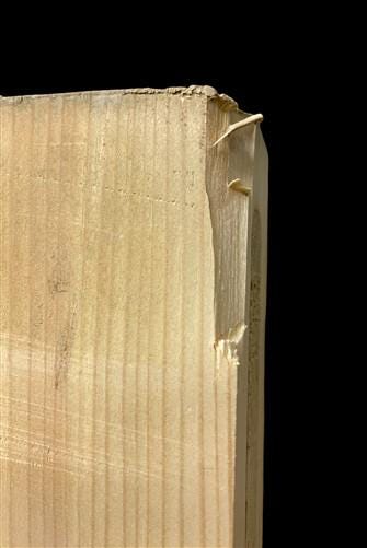 French Double Doors (48.5x80.5) Raised Panel Doors, European Styled Doors NM2-A