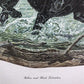 Art & Collectibles > Prints > Lithographs - Ernest Hart, Labrador, Signed Dog Print, 28x22, Wade Collection, Plate 5 by Th...