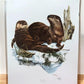 Art & Collectibles > Prints > Lithographs - Richard Timm, River Otter, Signed Print, 28x22 Wade Collection, Plate 6 by The...
