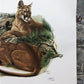 Art & Collectibles > Prints > Lithographs - Richard Timm, Mountain Lion, Signed Print, 28x22 Wade Collection, Plate 12 by...
