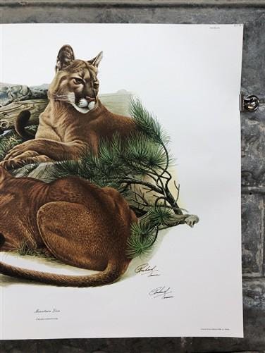 Art & Collectibles > Prints > Lithographs - Richard Timm, Mountain Lion, Signed Print, 28x22 Wade Collection, Plate 12 by...