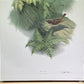 Art & Collectibles > Prints > Lithographs - Richard Sloan, Hermit Thrush, Signed Print, 28x22, Wade Collection, Plate 34 b...