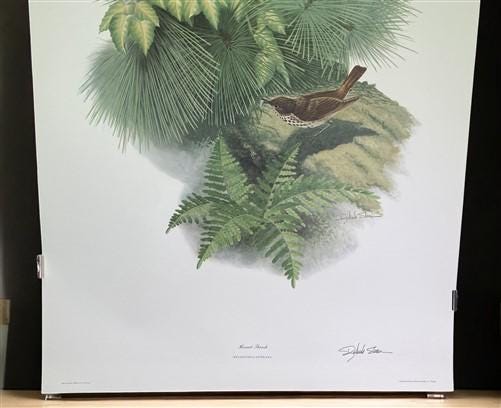 Art & Collectibles > Prints > Lithographs - Richard Sloan, Hermit Thrush, Signed Print, 28x22, Wade Collection, Plate 34 b...