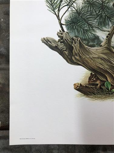Art & Collectibles > Prints > Lithographs - Richard Timm, Wolverine, Signed Print, 28x22 Wade Collection, Plate 14 by The...