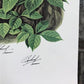 Art & Collectibles > Prints > Lithographs - Richard Timm, Lynx, Signed Print, 28x22 Wade Collection, Plate 27 by The Old G...