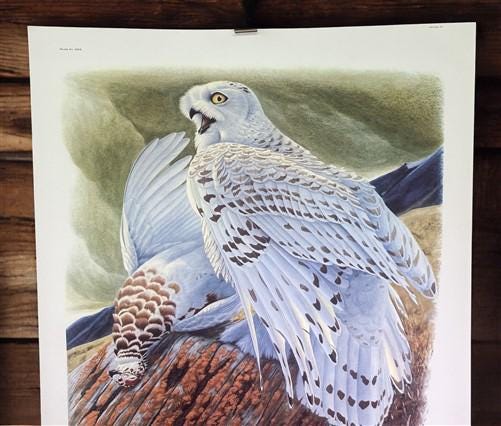 Art & Collectibles > Prints > Lithographs - Richard Sloan, Snowy Owl, Signed Print, 28x22, Wade Collection, Plate 30 by Th...