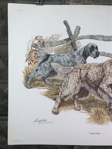 Art & Collectibles > Prints > Lithographs - Ernest Hart, English Setters, Signed Dog Print, 28x22, Wade Collection, Plate...