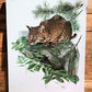 Art & Collectibles > Prints > Lithographs - Richard Timm, Bobcat, Signed Print, 28x22 Wade Collection, Plate 8 by The Old...