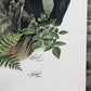 Art & Collectibles > Prints > Lithographs - Richard Timm, Black Bear, Signed Print, 28x22 Wade Collection, Plate 24 by The...