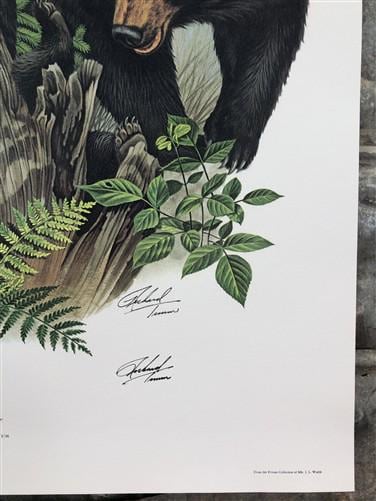 Art & Collectibles > Prints > Lithographs - Richard Timm, Black Bear, Signed Print, 28x22 Wade Collection, Plate 24 by The...