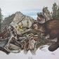 Art & Collectibles > Prints > Lithographs - Richard Timm, Pine Marten, Signed Print, 28x22 Wade Collection, Plate 39 by Th...