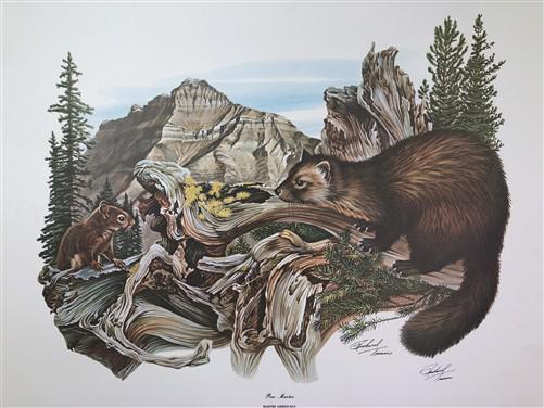 Art & Collectibles > Prints > Lithographs - Richard Timm, Pine Marten, Signed Print, 28x22 Wade Collection, Plate 39 by Th...
