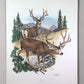 Art & Collectibles > Prints > Lithographs - Richard Timm, Mule Deer, Signed Print, 28x22 Wade Collection, Plate 32 by The...